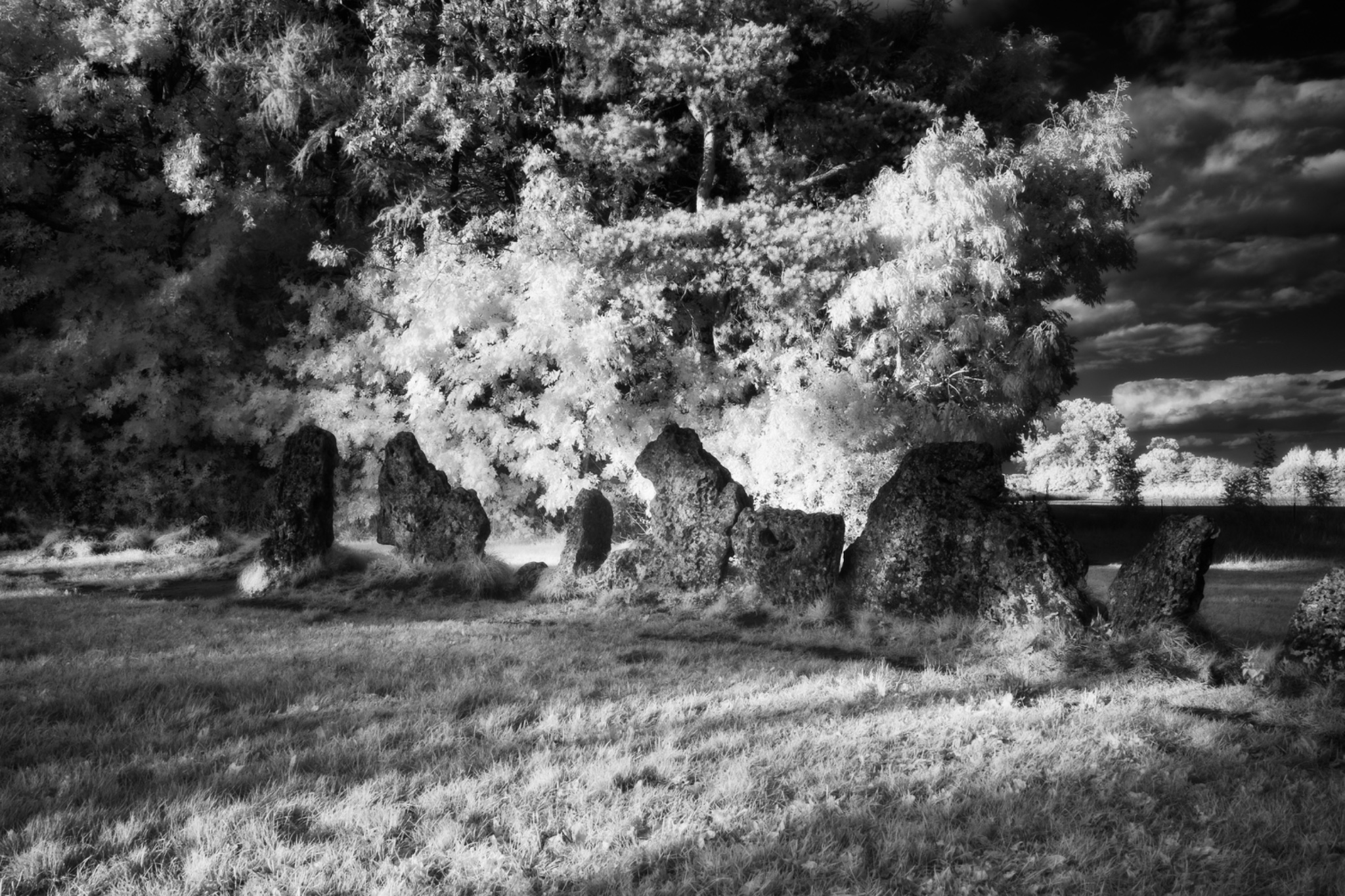 The Rollright Stones, Oxfordshire, England.